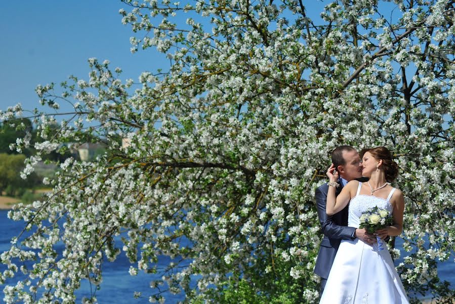 Fotografo di matrimoni Vladimir Andreychishen (vladimir777). Foto del 28 novembre 2016