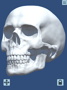 Skully Portrait Poser(圖3)-速報App