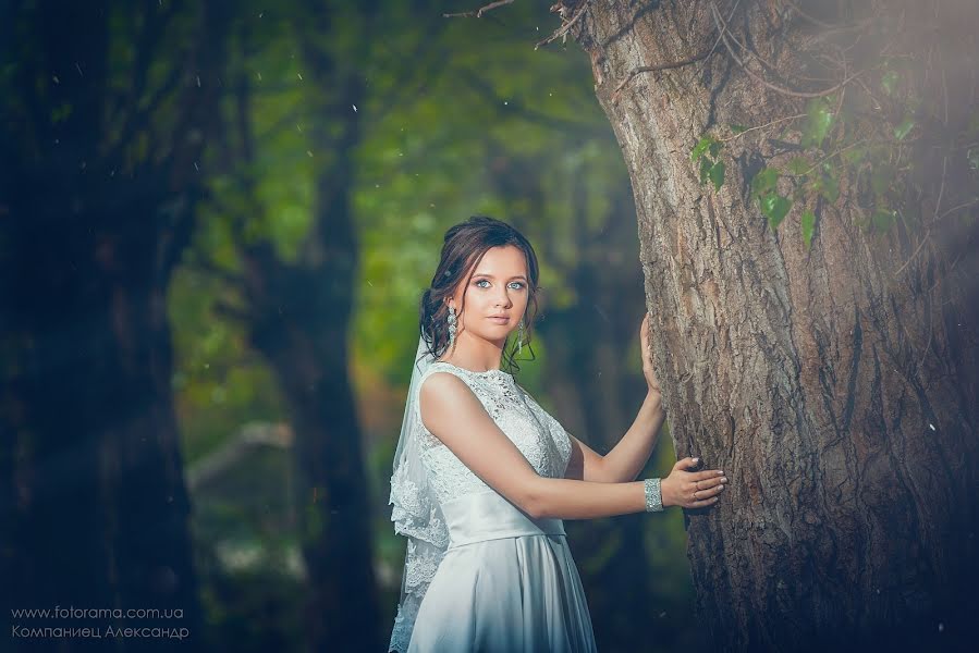 Fotógrafo de casamento Aleksandr Kompaniec (fotorama). Foto de 26 de setembro 2018