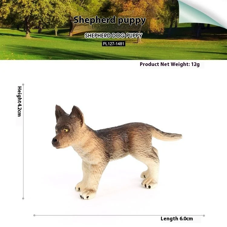images slider number - 16