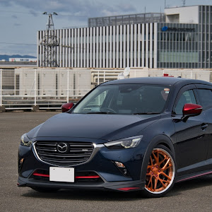 CX-3 DKEFW