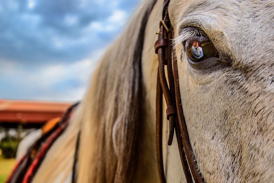 Bryllupsfotograf Alison Coretti (coretti). Bilde av 3 desember 2018