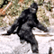 Item logo image for Buy Bigfoot