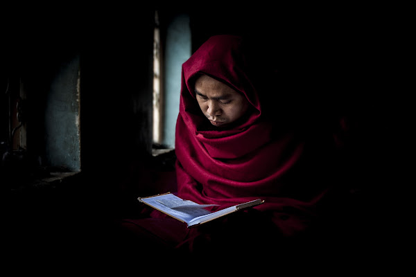 Letture nel silenzio di Gloria Staffa