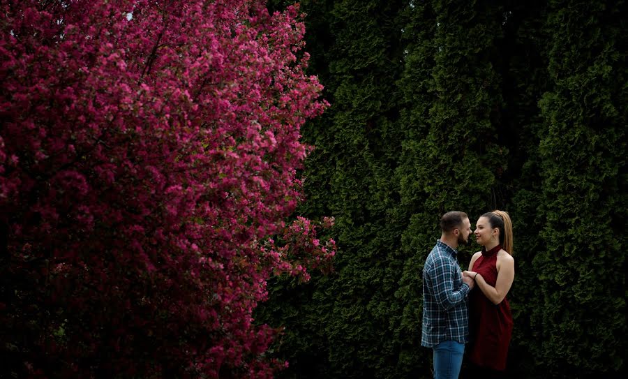 Wedding photographer Luca Cosma (lucafoto). Photo of 30 May 2019