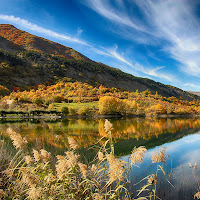 Colori d'autunno di 