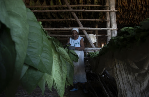 Kubanski predsednik primio generalnog direktora ruske naftne grupe Rosnjeft