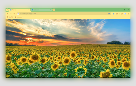 Evening at the Sunflower Field 1080p small promo image