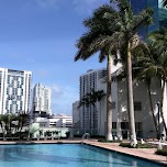 pool & a corona in Miami, United States 