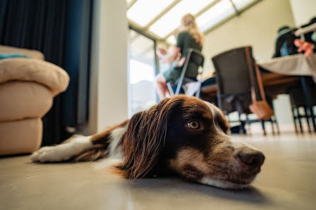 Bryllupsfotograf Kristof Claeys (kristofclaeys). Foto fra januar 13 2020