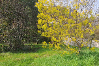 terrain à La Colle-sur-Loup (06)