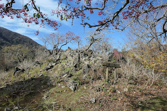 山頂を通過して下山（西側へ）