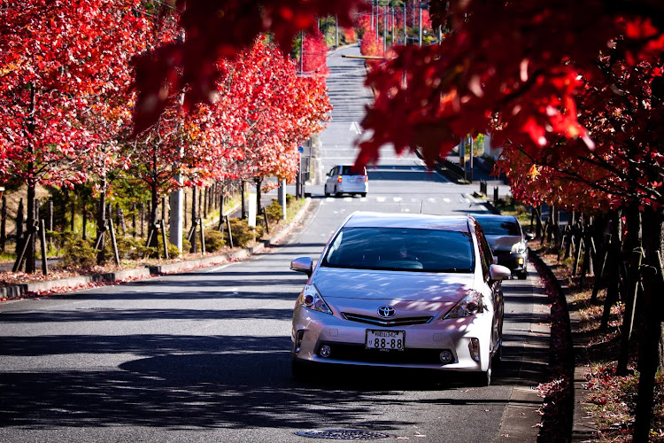 プリウスαの和歌山・一眼・紅葉ドライブに関するカスタム事例の投稿画像1枚目