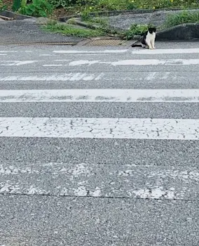 横断歩道の奥