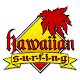 Hawaiian Surfing  Download on Windows