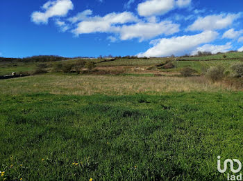 terrain à Boudes (63)