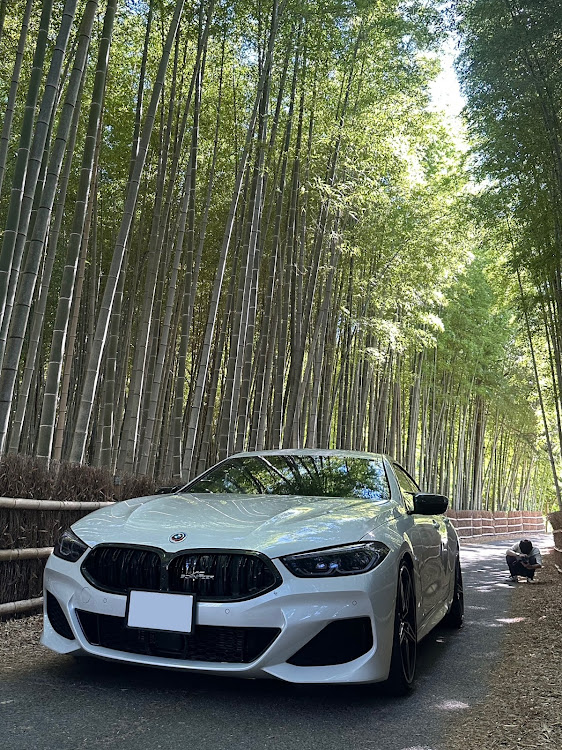 7シリーズの名古屋遠征・BMW愛好会・トリトンコラボ・名古屋ぐるぐる・知多の竹林に関するカスタム事例の投稿画像4枚目