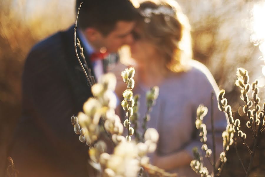 Wedding photographer Tolya Sarkan (sarkan). Photo of 29 May 2017