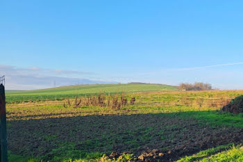 terrain à Lhéry (51)