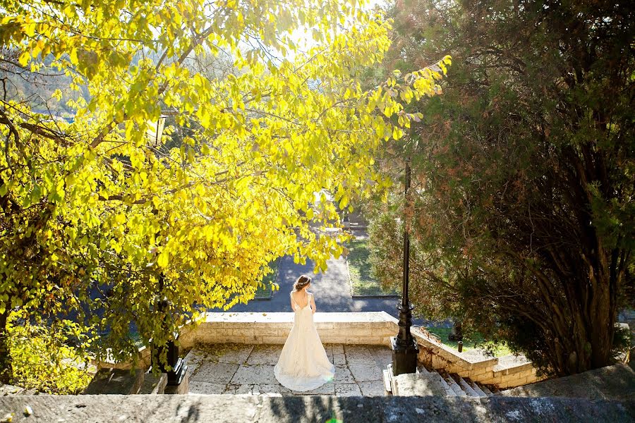 Photographe de mariage Aleksey Aleynikov (aleinikov). Photo du 2 mai 2017