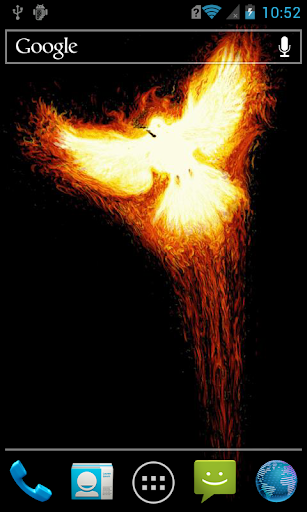 Fiery bird in darkness Live WP