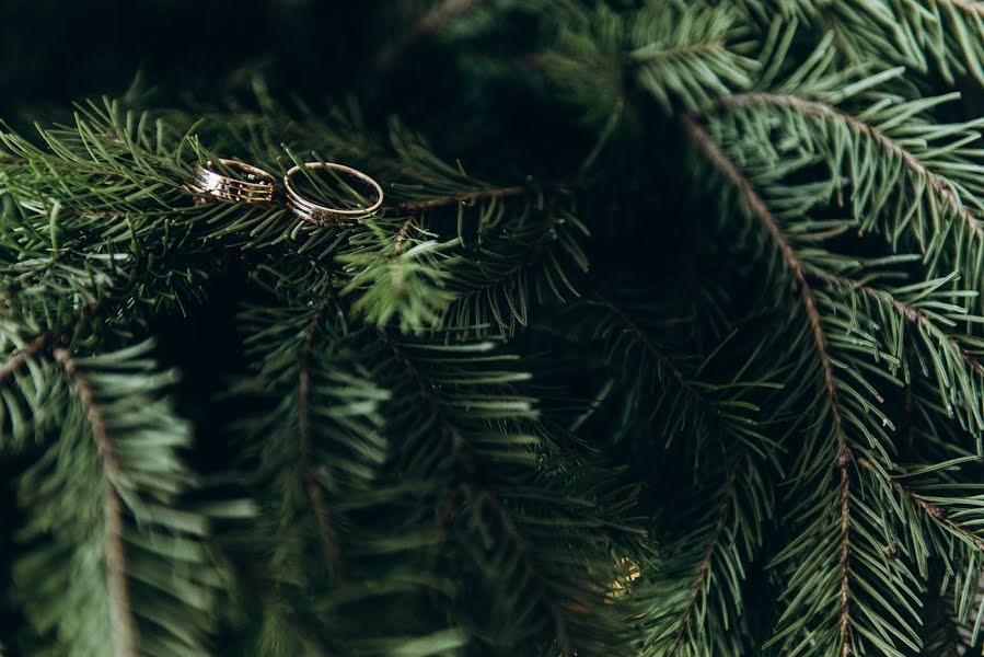 Fotógrafo de bodas Aleksey Krupilov (fantomasster). Foto del 26 de diciembre 2017