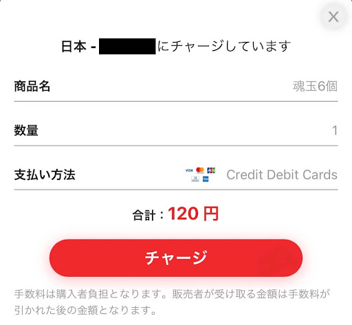 Credit Debit Cards支払い②