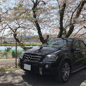 Mクラス ML63