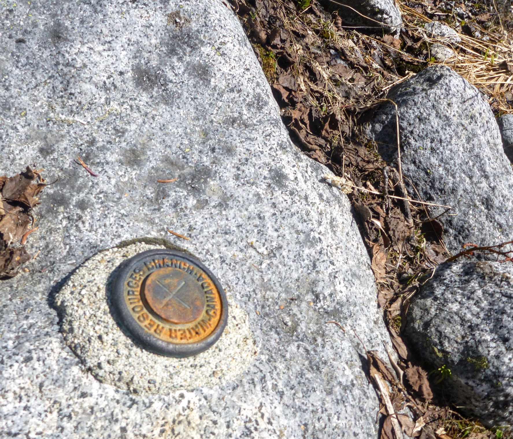 A Strange Survey Marker