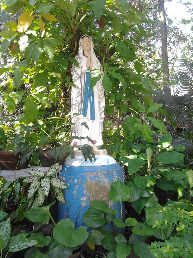 Blessed Virgin Mary