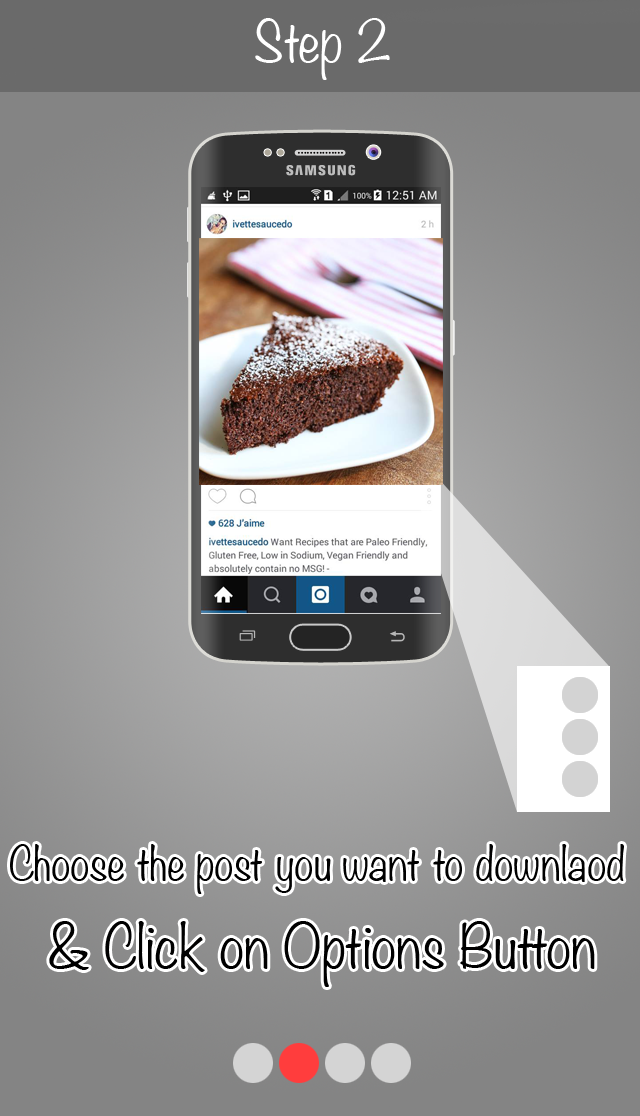 instasave Screen 2