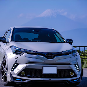 C-HR ZYX10
