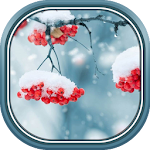 Cover Image of Download Beautiful Winter Live Wallpaper 1.0.2 APK