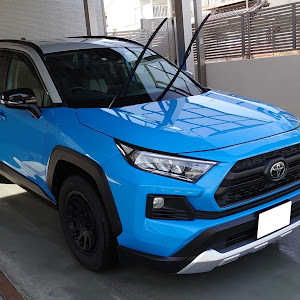 RAV4 MXAA54