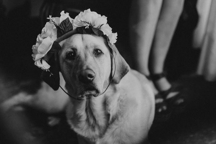 Fotógrafo de casamento Edder Arijim (edderarijim). Foto de 7 de dezembro 2021