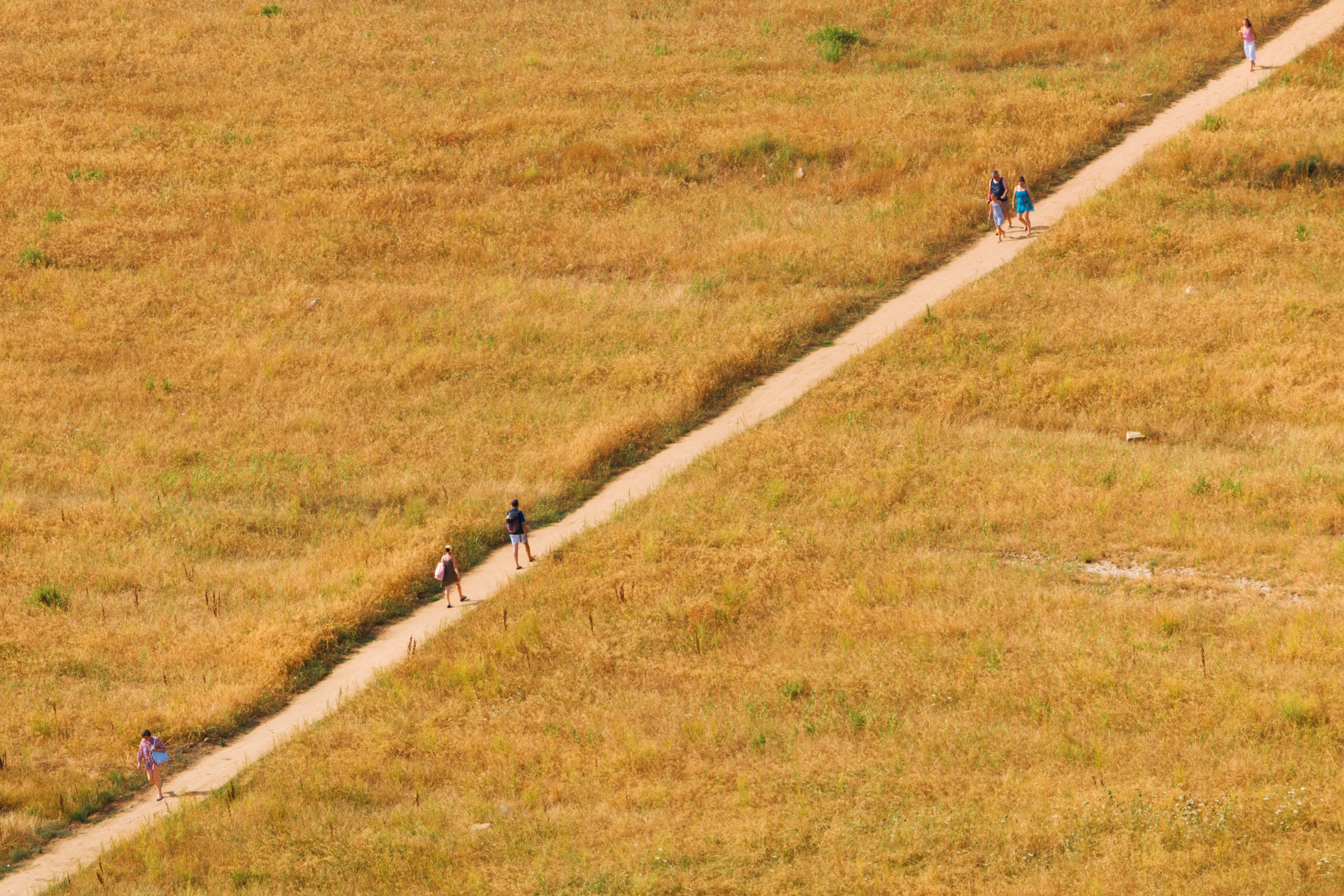 La strada per la spiaggia di Davide_79