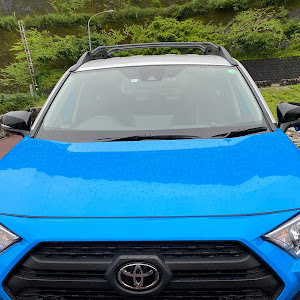 RAV4 MXAA54