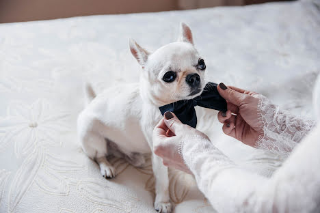 Wedding photographer Alisa Princeva (alisaprintseva). Photo of 4 October 2016