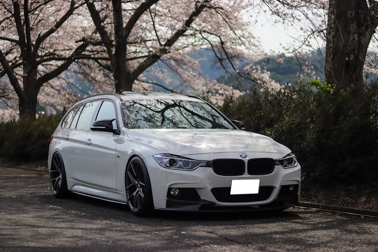 3シリーズ ツーリングのサクラと愛車・BMW3シリーズ・F31ツーリング・Z-Performanceに関するカスタム事例の投稿画像1枚目