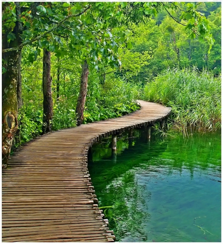 COSI' SON LE STRADE A PLITVICE di Paolo Scabbia