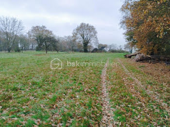 terrain à Mayenne (53)