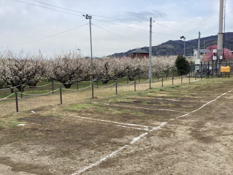 コペンの１日！一日を大切に！二度と来ない日々です！今を最高に生きる！・物事興味を持って試行錯誤で楽しみ事も勉強になりますね！・何時も！何時も！愛変わらずのお付き合い！ありがとうございます！・たわい無い平凡な暮らしにこそ幸せ有り！最高だね！・たわい無い事柄に感謝！最高だね！に関するカスタム事例の投稿画像57枚目