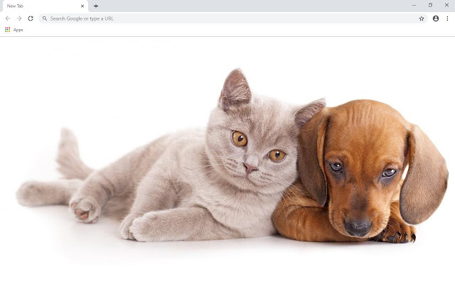 Cute Cats & Dogs Wallpapers and New Tab