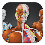 Memorix Anatomy QUIZ Apk