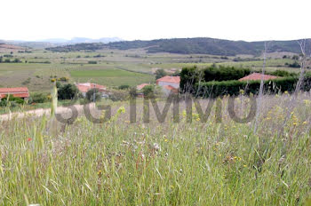 terrain à Montner (66)