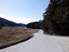 車が見えてきた