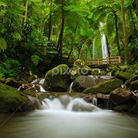 Jumog by Gigih Ardiantoro - Landscapes Waterscapes