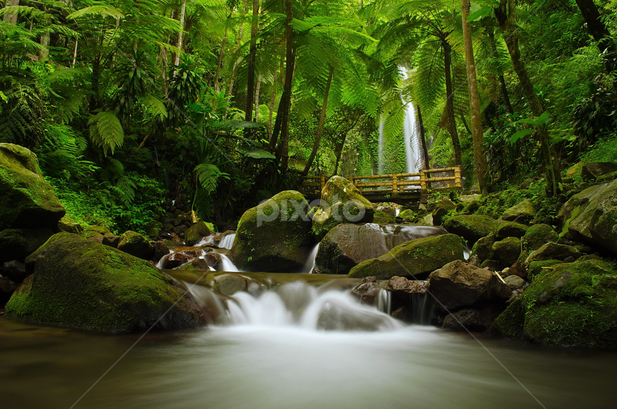 Jumog by Gigih Ardiantoro - Landscapes Waterscapes