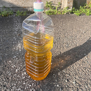 アルファード ANH20W