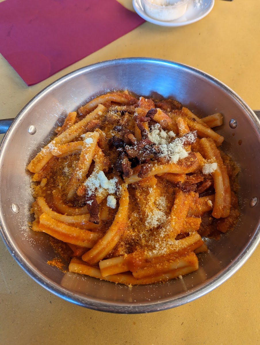 Amatriciana GF